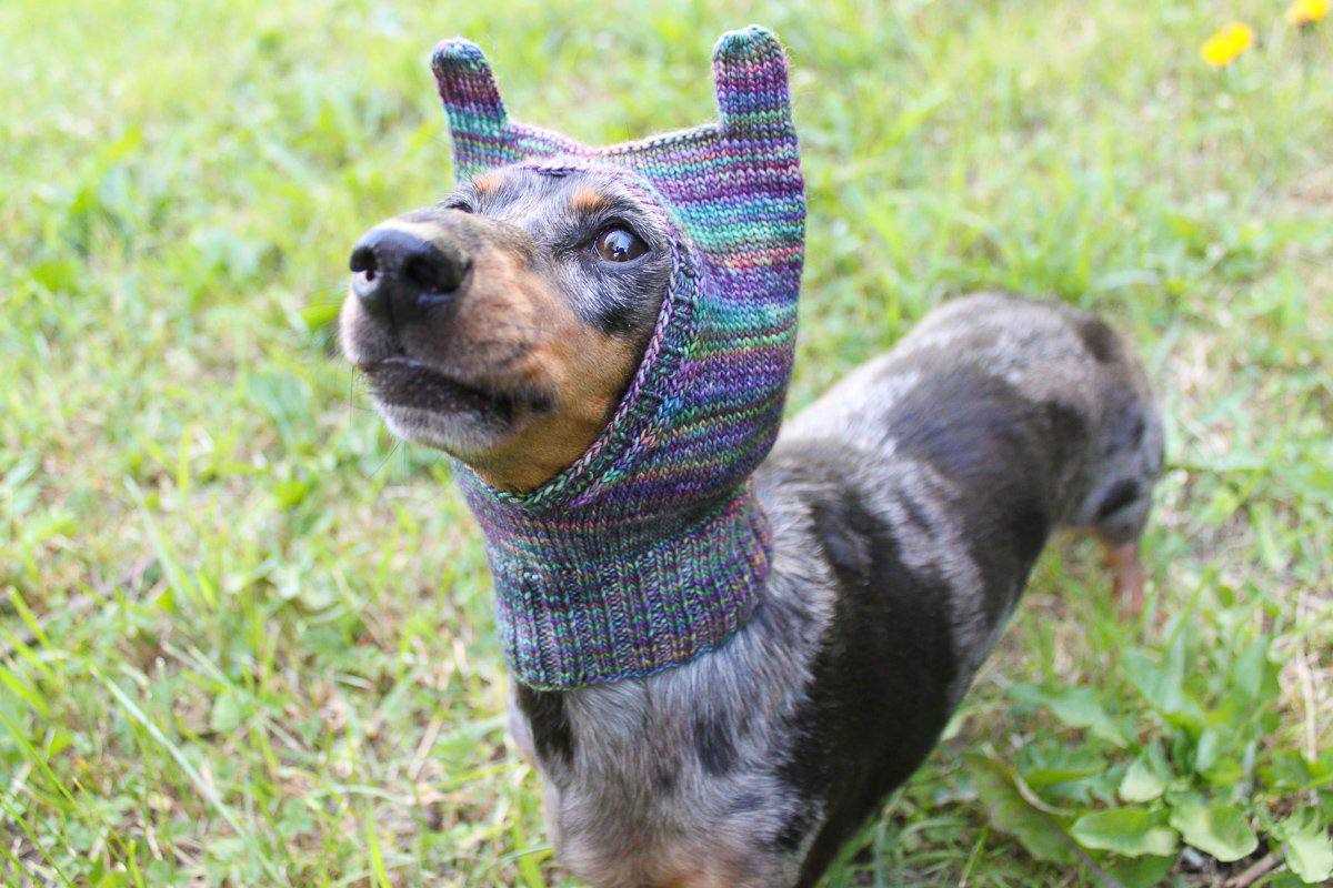 Dog hat knit pattern