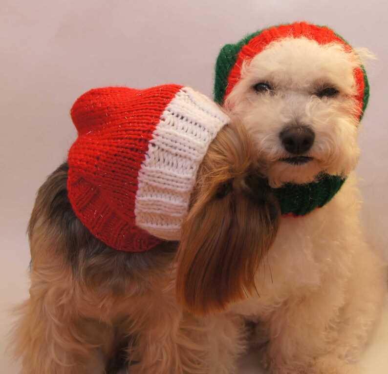 Easy dog hat knitting pattern