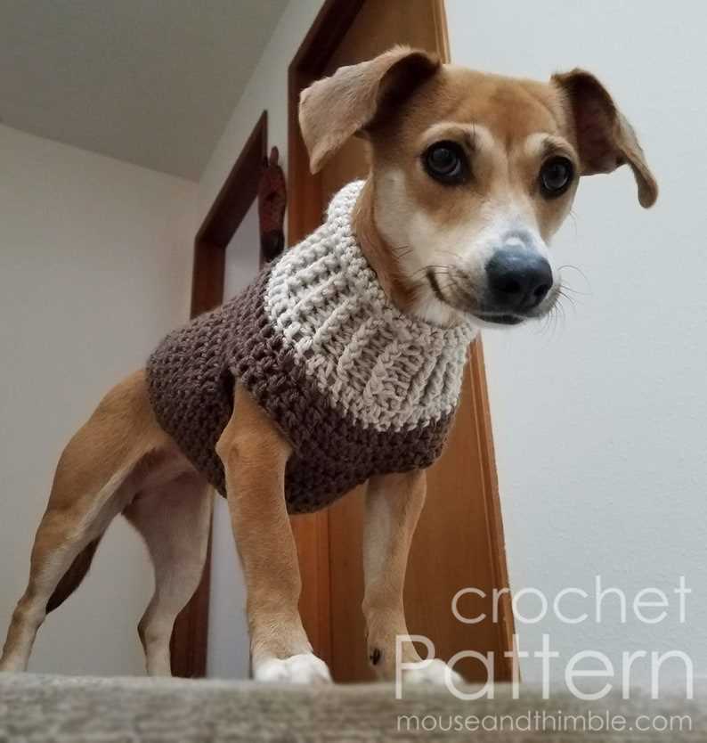 Easy knitting pattern for large dog sweater