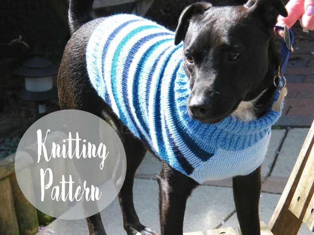 Easy knitting pattern for large dog sweater