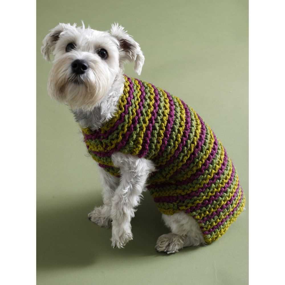 Knitting patterns for dog jerseys
