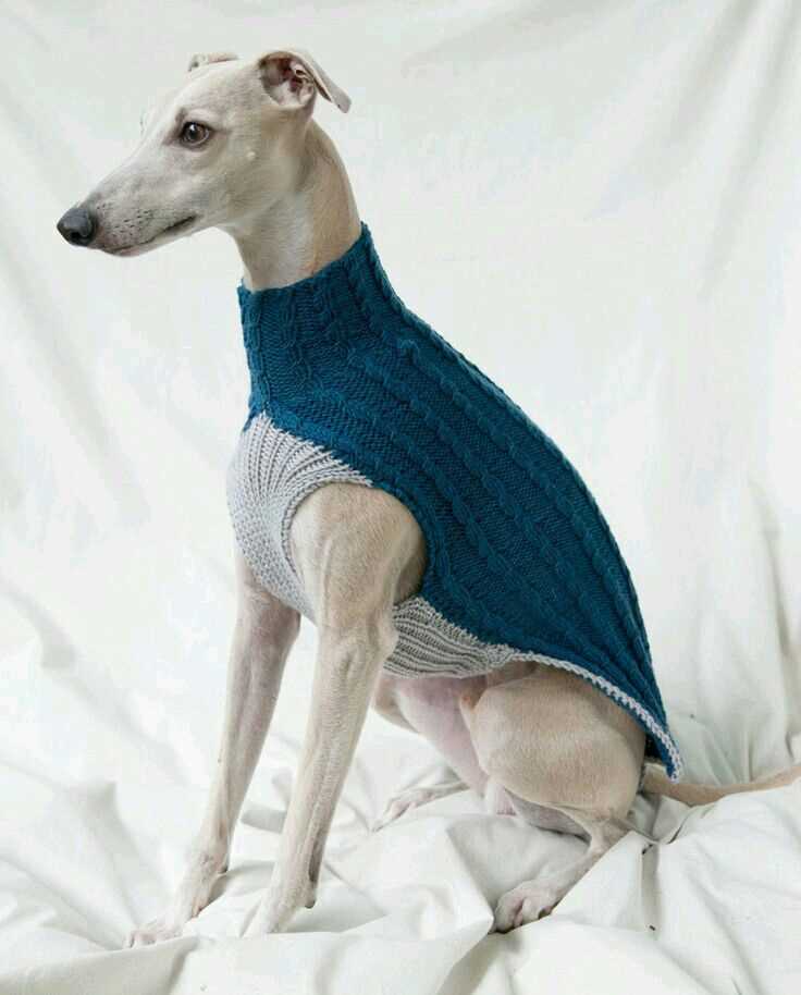 Greyhound jumper knitting pattern