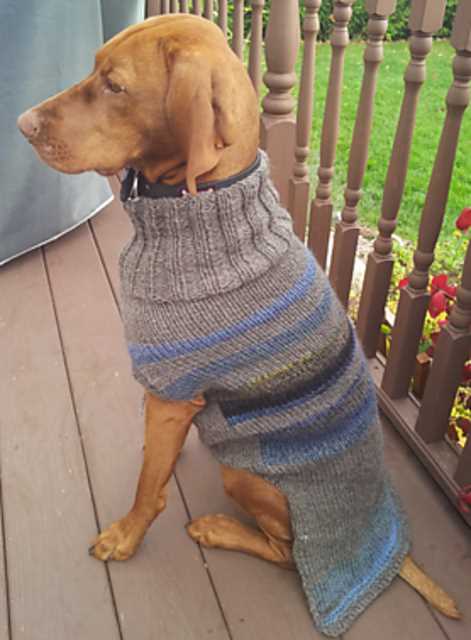 Large dog knitted sweater pattern
