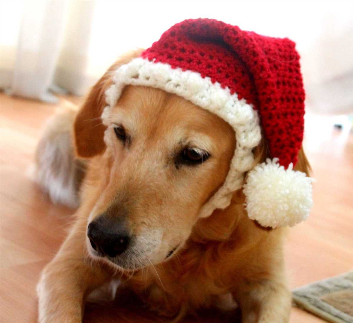 Christmas dog hat knitting pattern