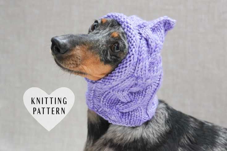 Knit hat for dog pattern