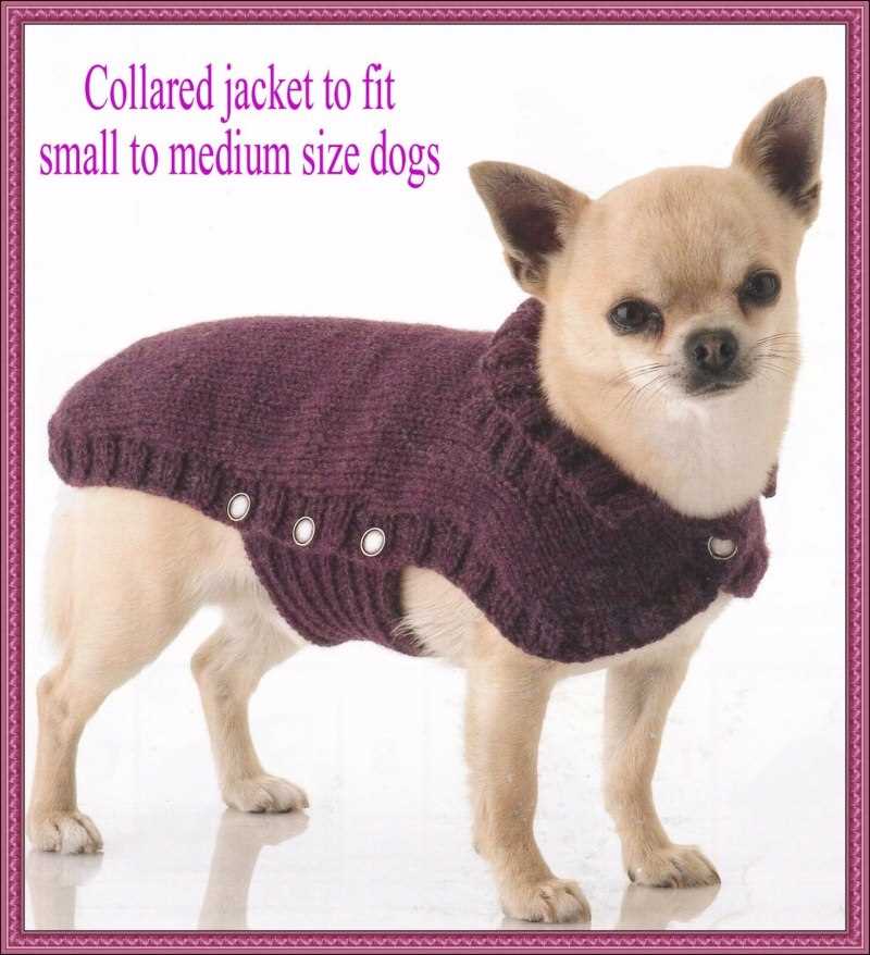 Knitting patterns for dog coats medium