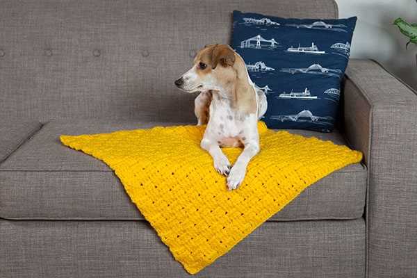 Pet blanket knitting patterns