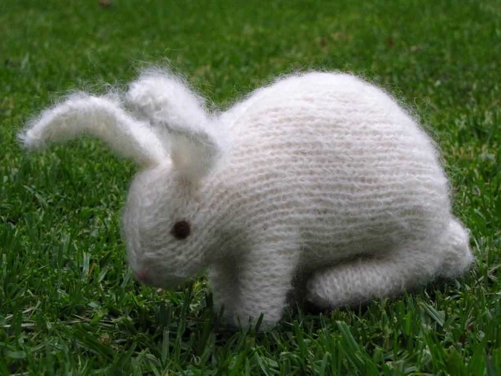 Francis the easter bunny knitting pattern