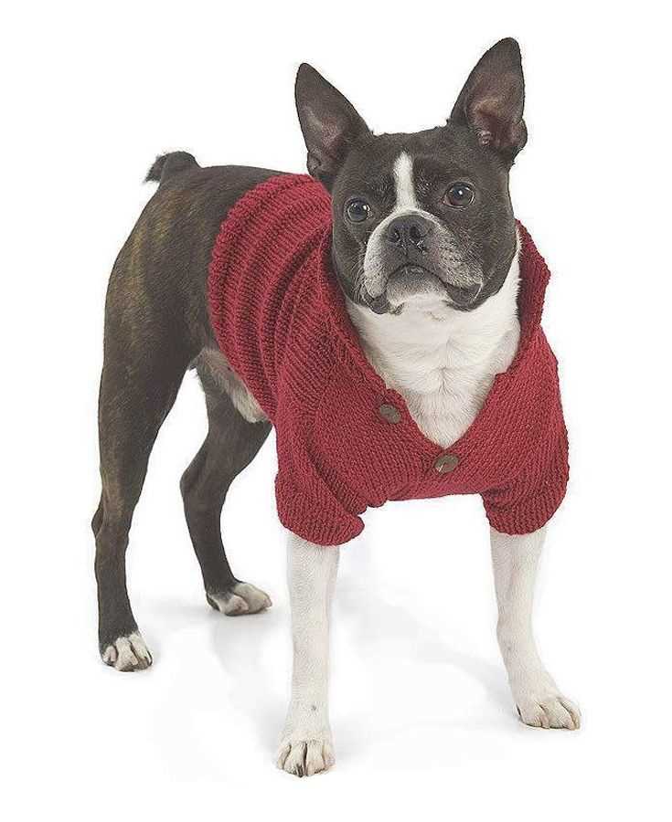 Free dog sweater knitting pattern straight needles for beginners