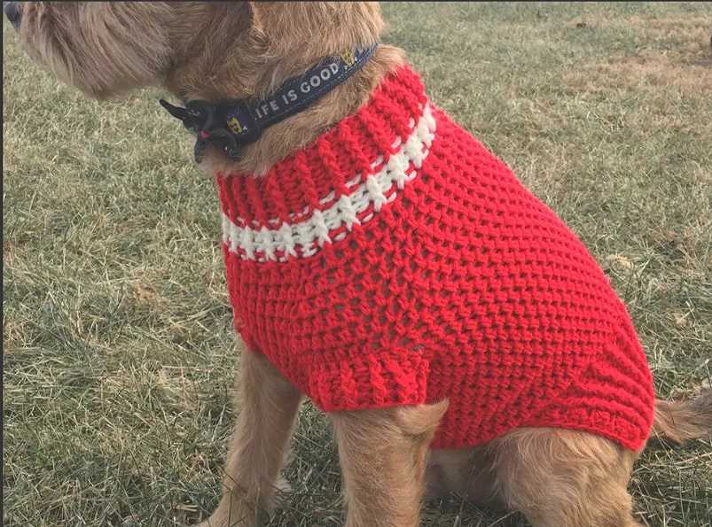 Free dog sweater knitting pattern straight needles for beginners