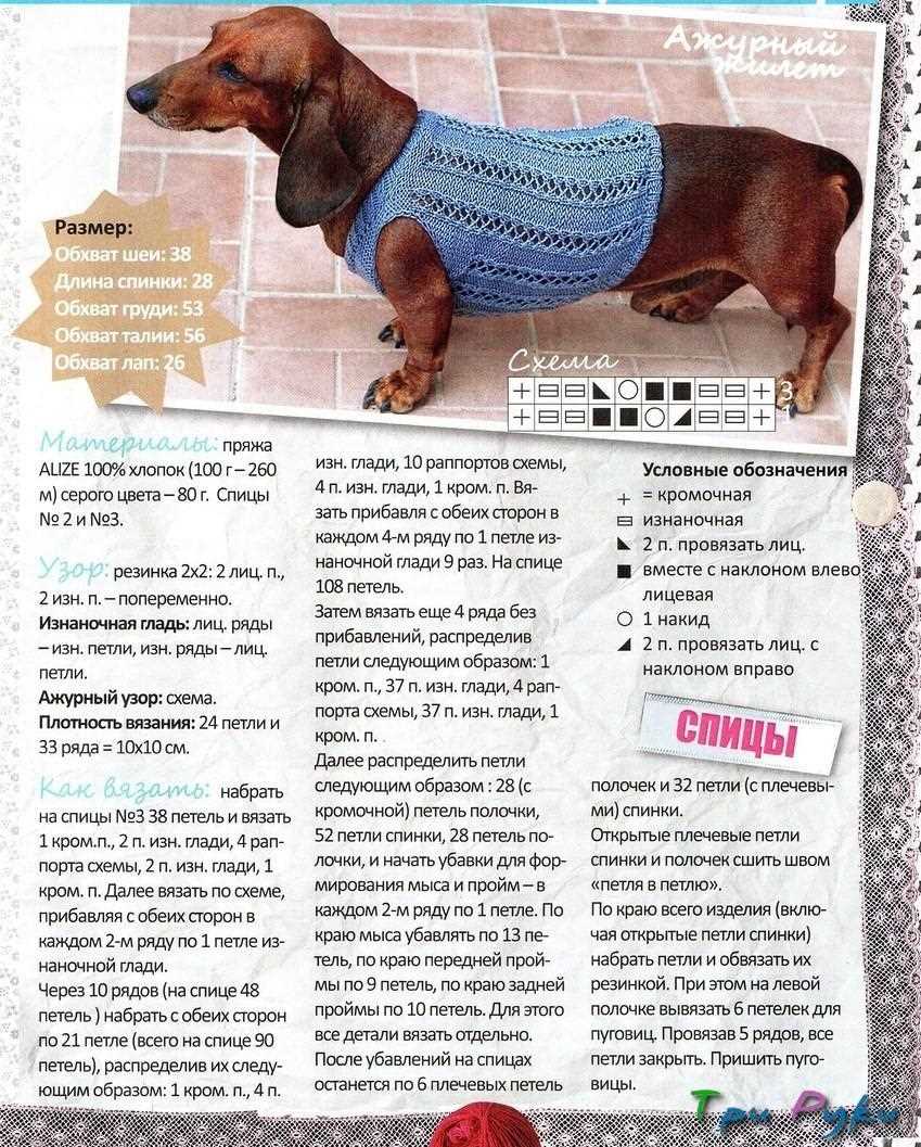 Knitted dog harness pattern