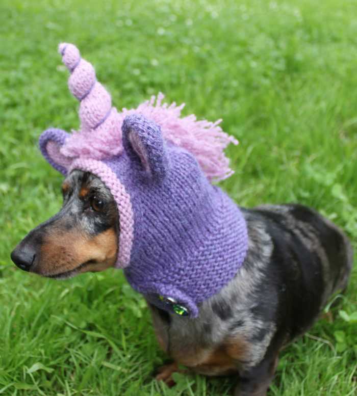 Knit hat for dog pattern