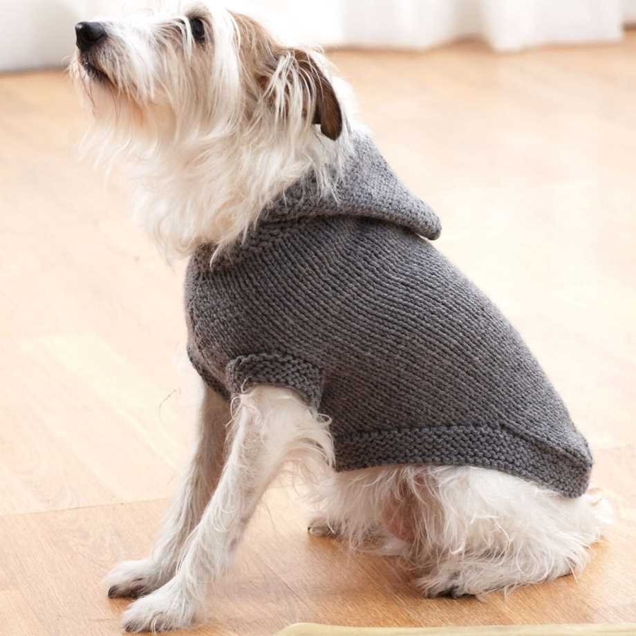 Free knitting pattern dog coat easy