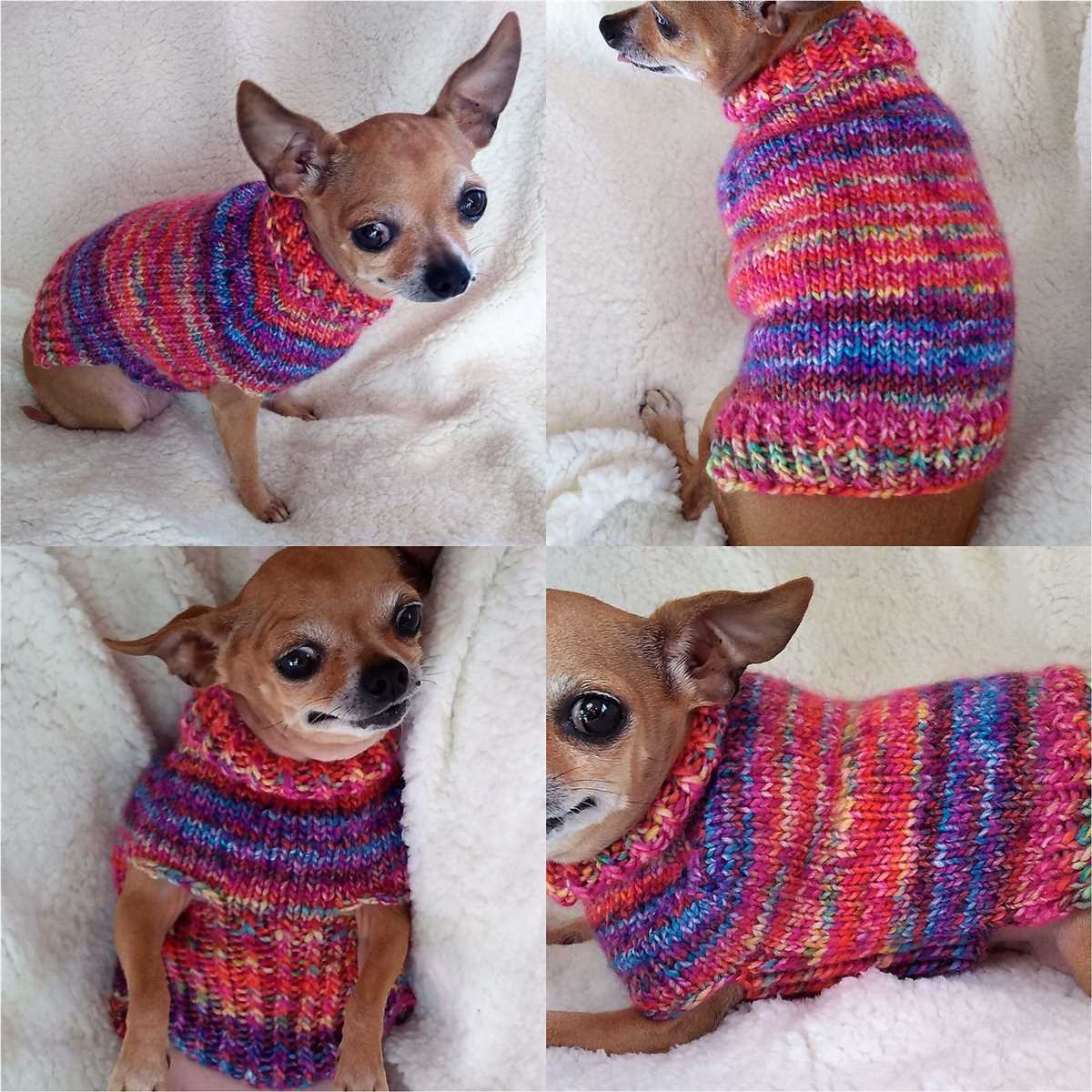 Free patterns for knitted dog sweaters easy