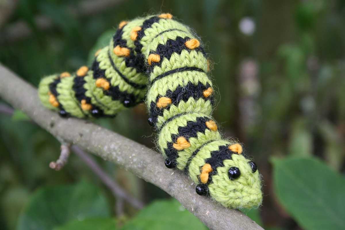 Knitted caterpillar pattern