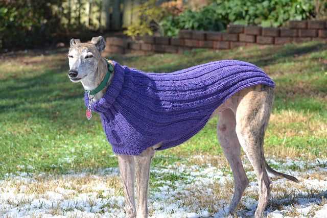 Greyhound jumper knitting pattern