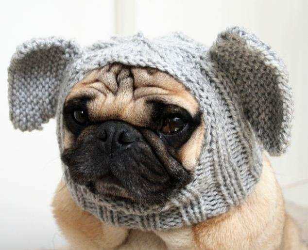 Free dog balaclava knitting pattern