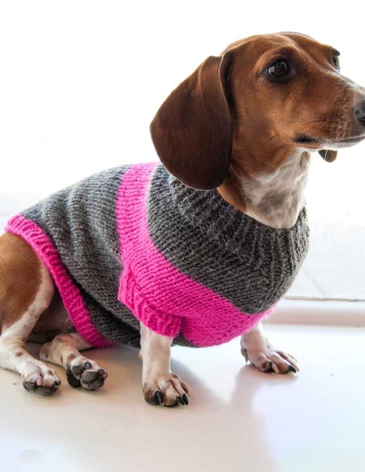 Free dog sweater knitting patterns uk