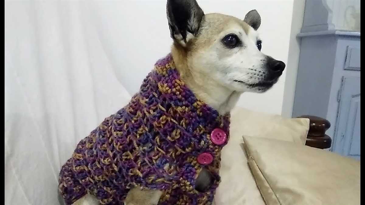 Free dog sweater knitting patterns uk