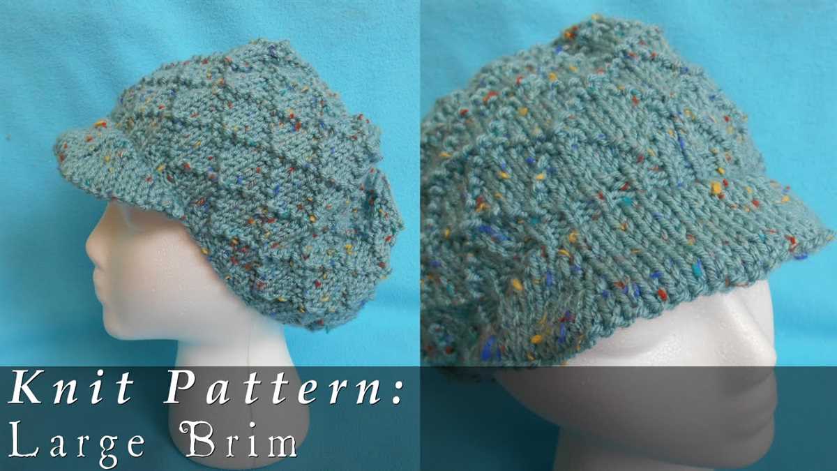 Caron knit hat pattern