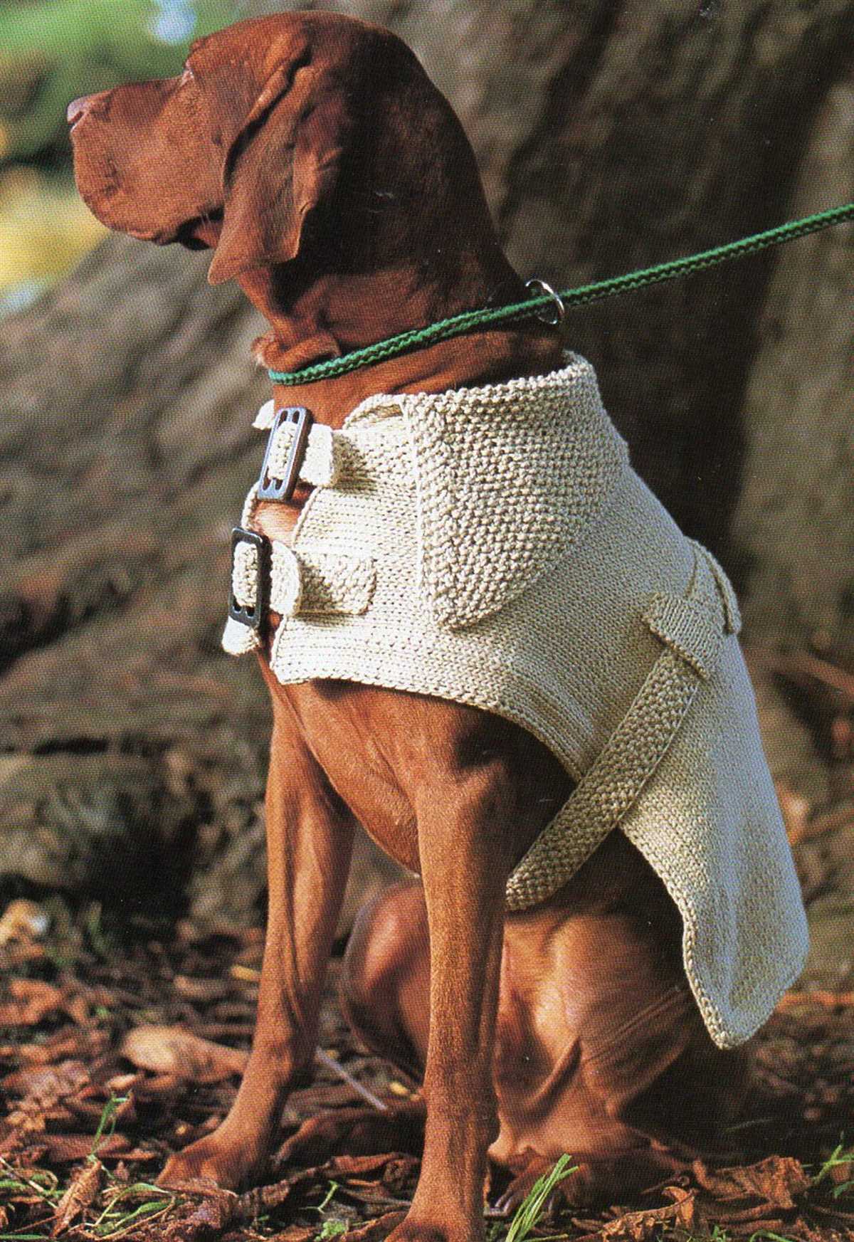 Free knitting pattern dog coat easy