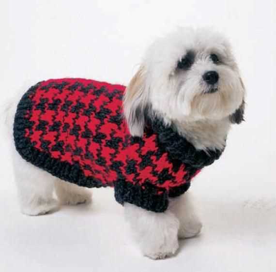 Free knitting pattern for dog coats