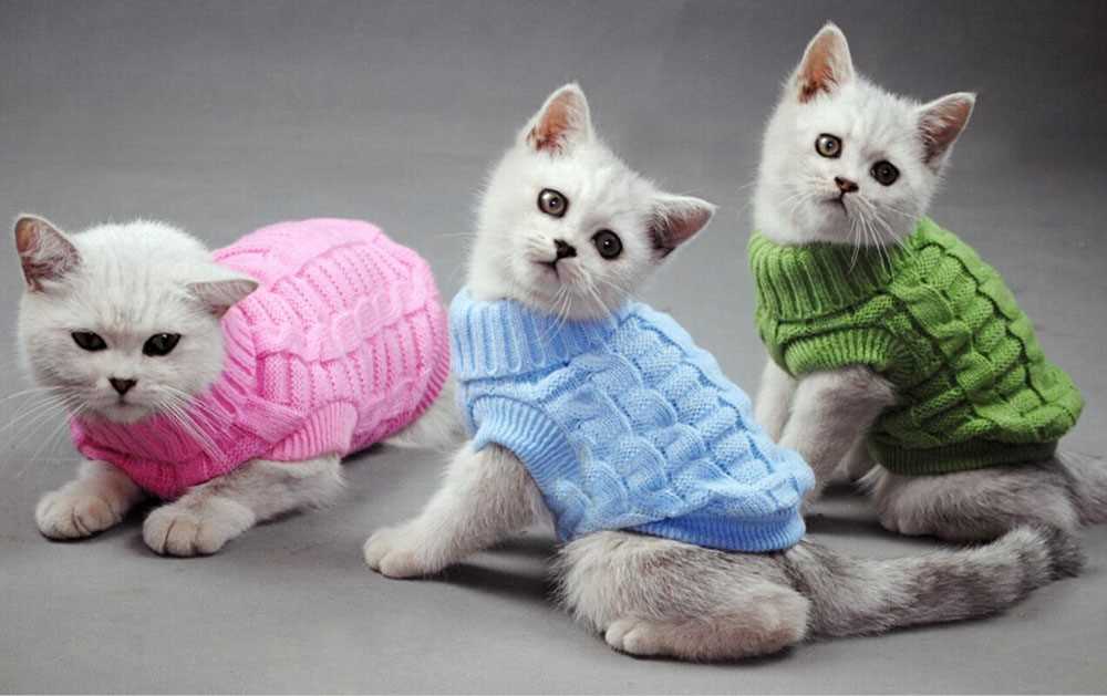 Free knitting patterns for cat coats