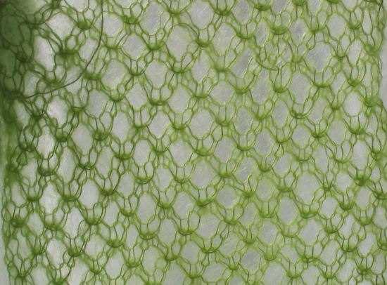 Fishnet knit pattern