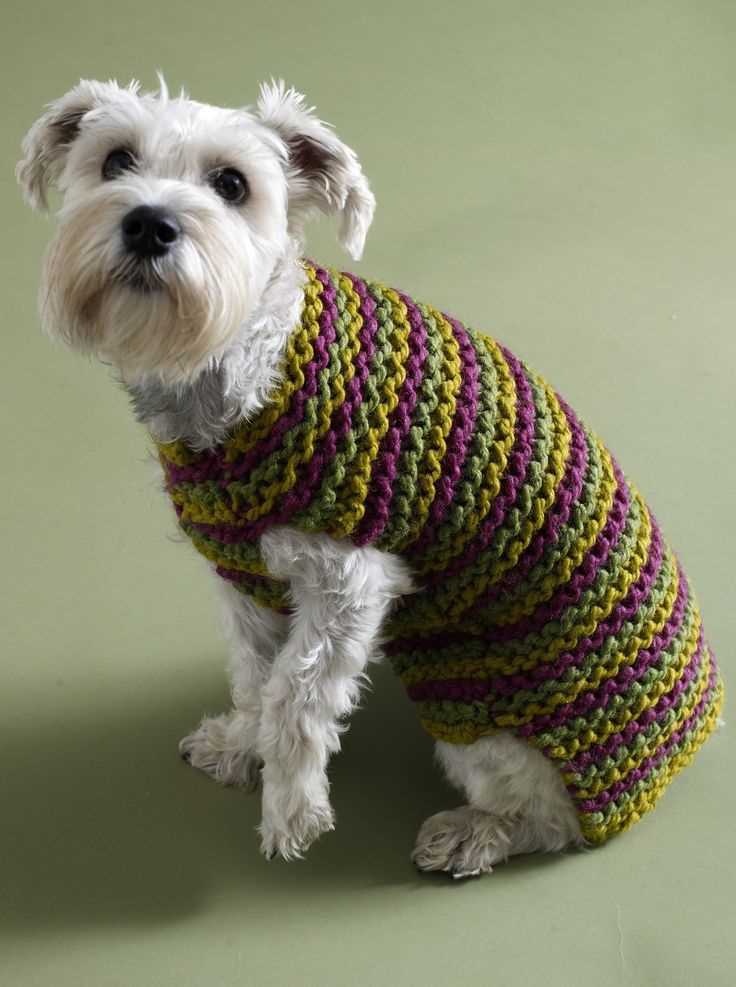 Knitted dog patterns free