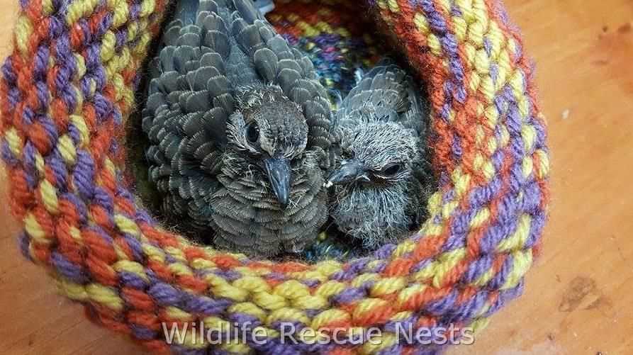 Knitted nest pattern