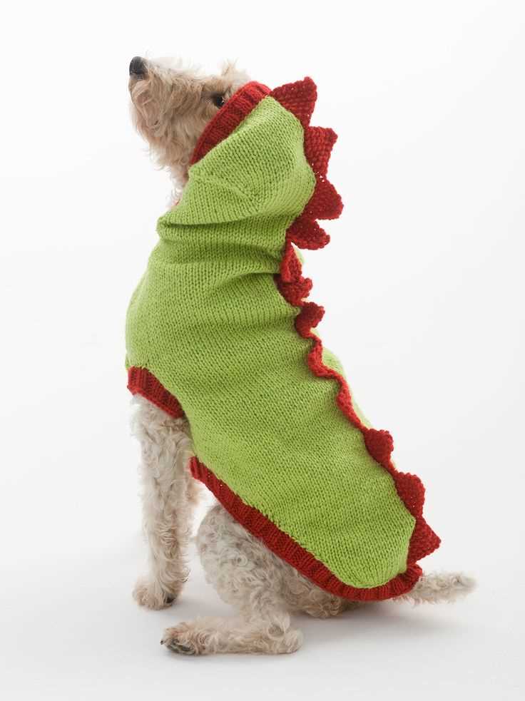 Harness-friendly dog sweater knitting pattern