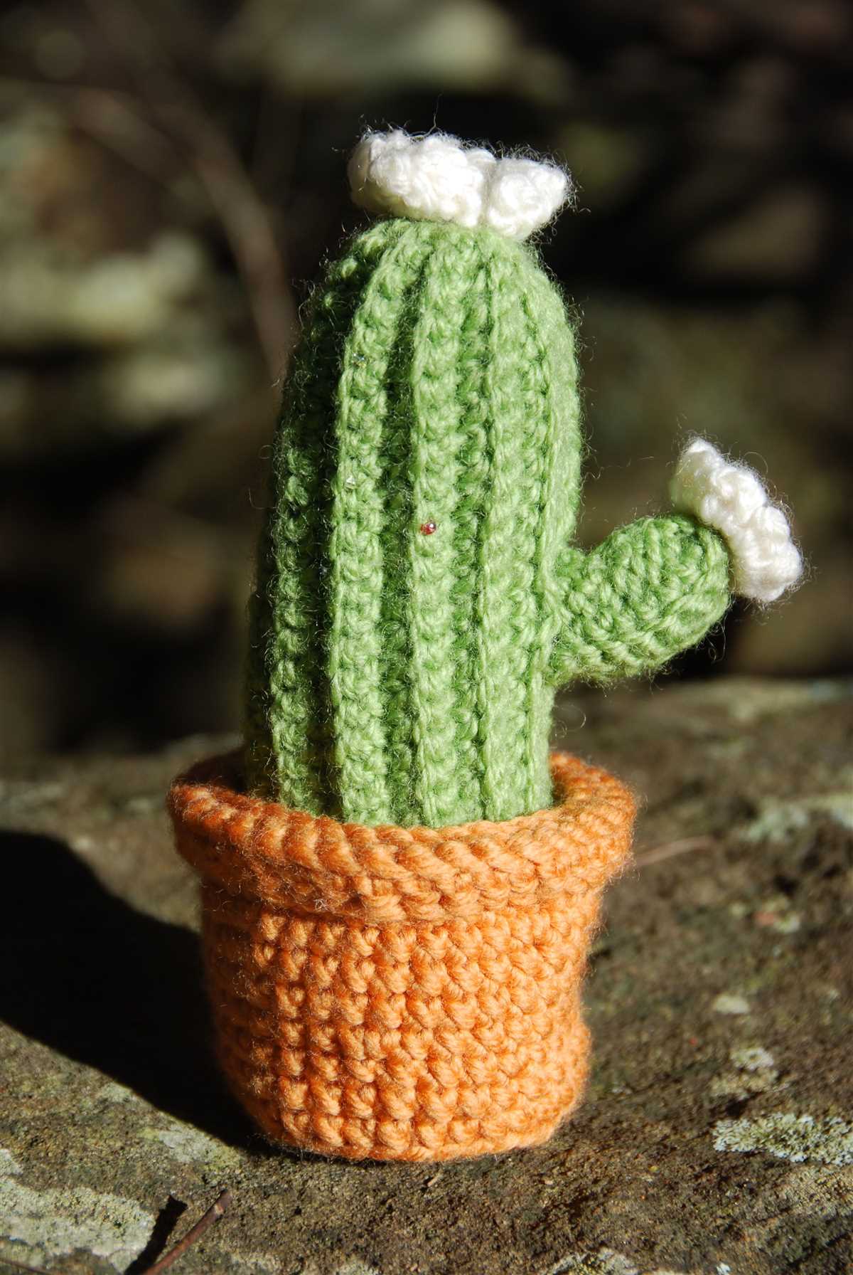 Knitted cactus plant pattern free
