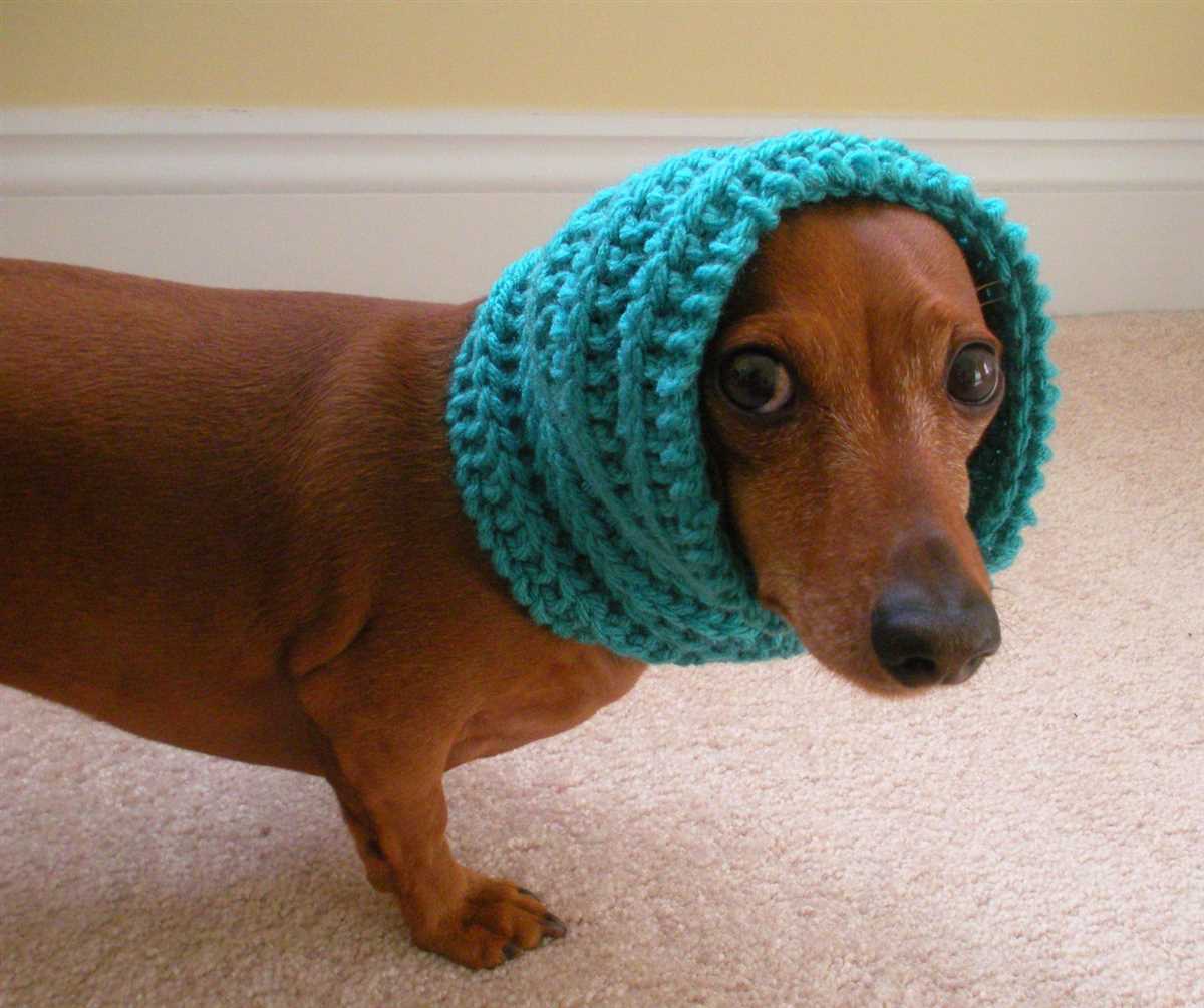 Dog scarf knitting pattern