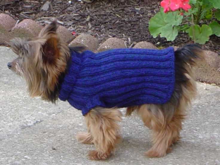 Free yorkie knitting patterns