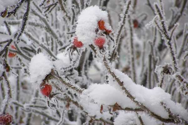 Frozen knitting patterns