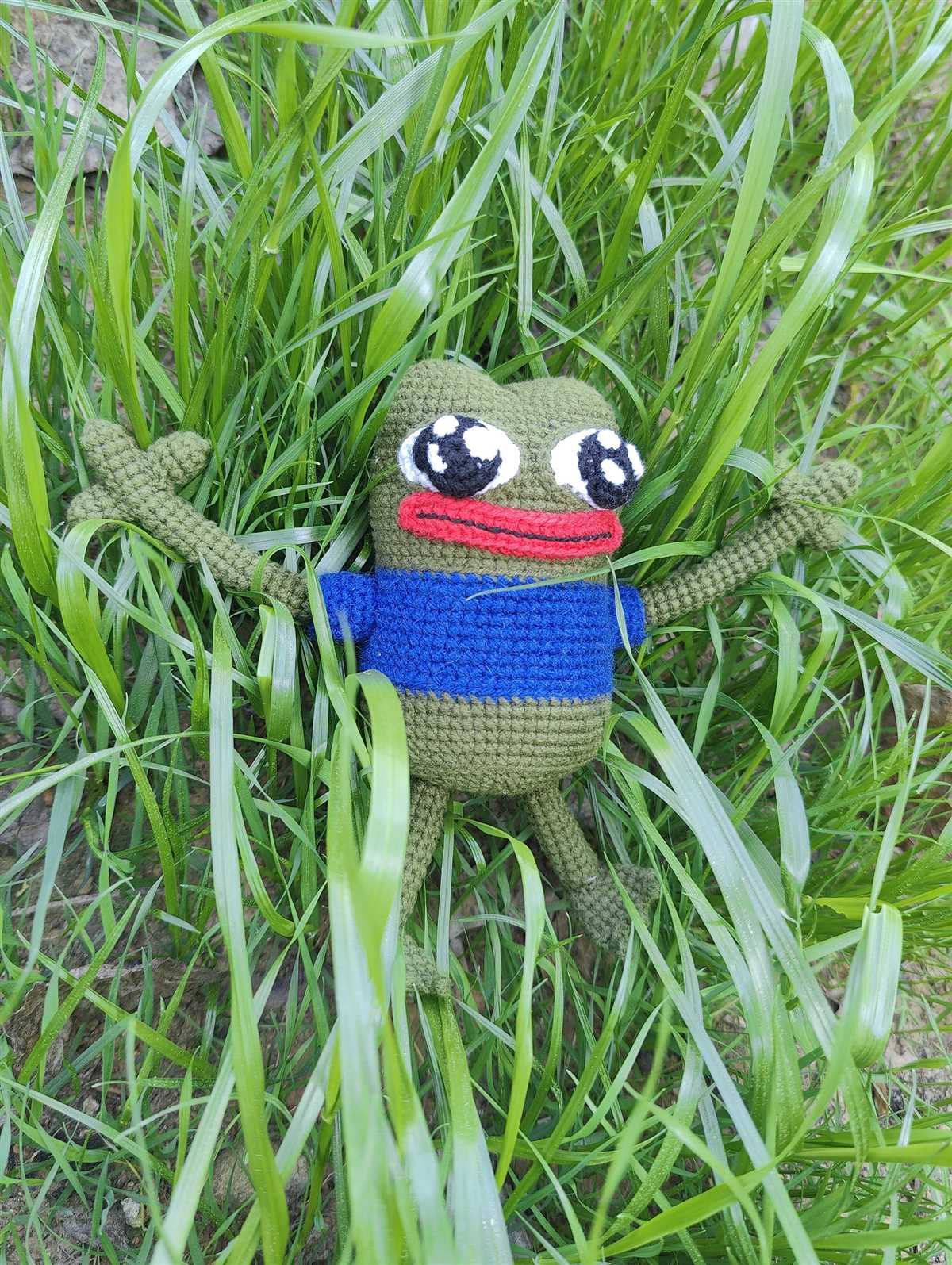 Frog and toad knit pattern