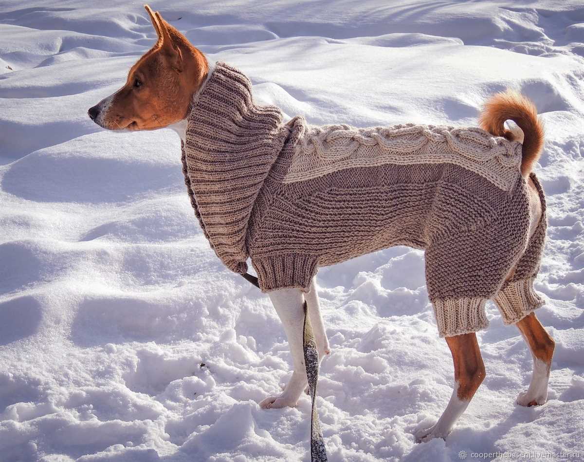 Extra small dog sweater knitting pattern free
