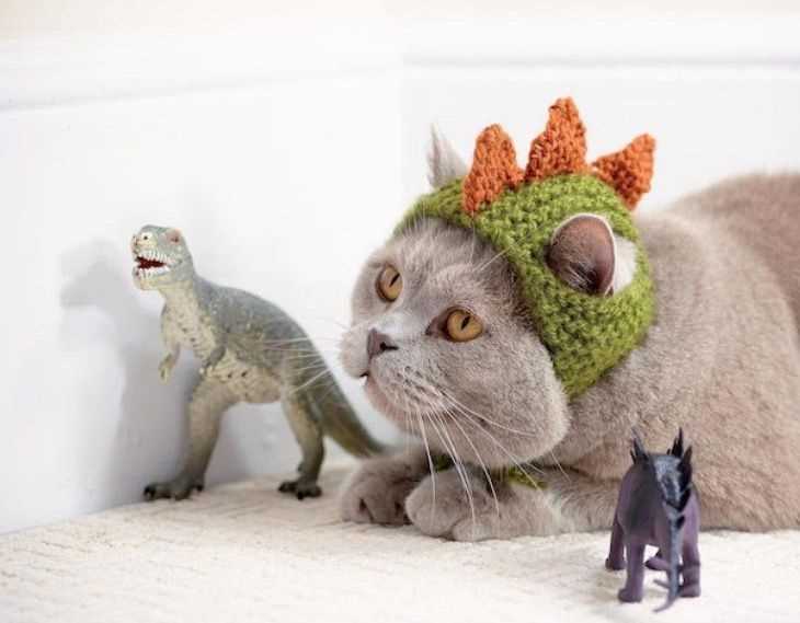 Free cat hat knitting pattern