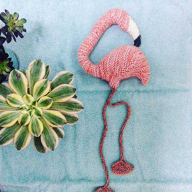 Free knitting patterns flamingo