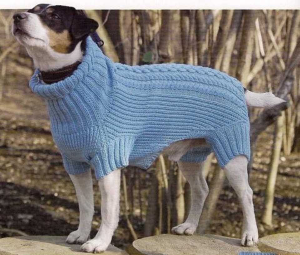 Xl dog sweater knitting pattern