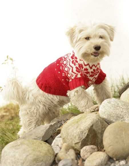 Dog xmas jumper knitting patterns