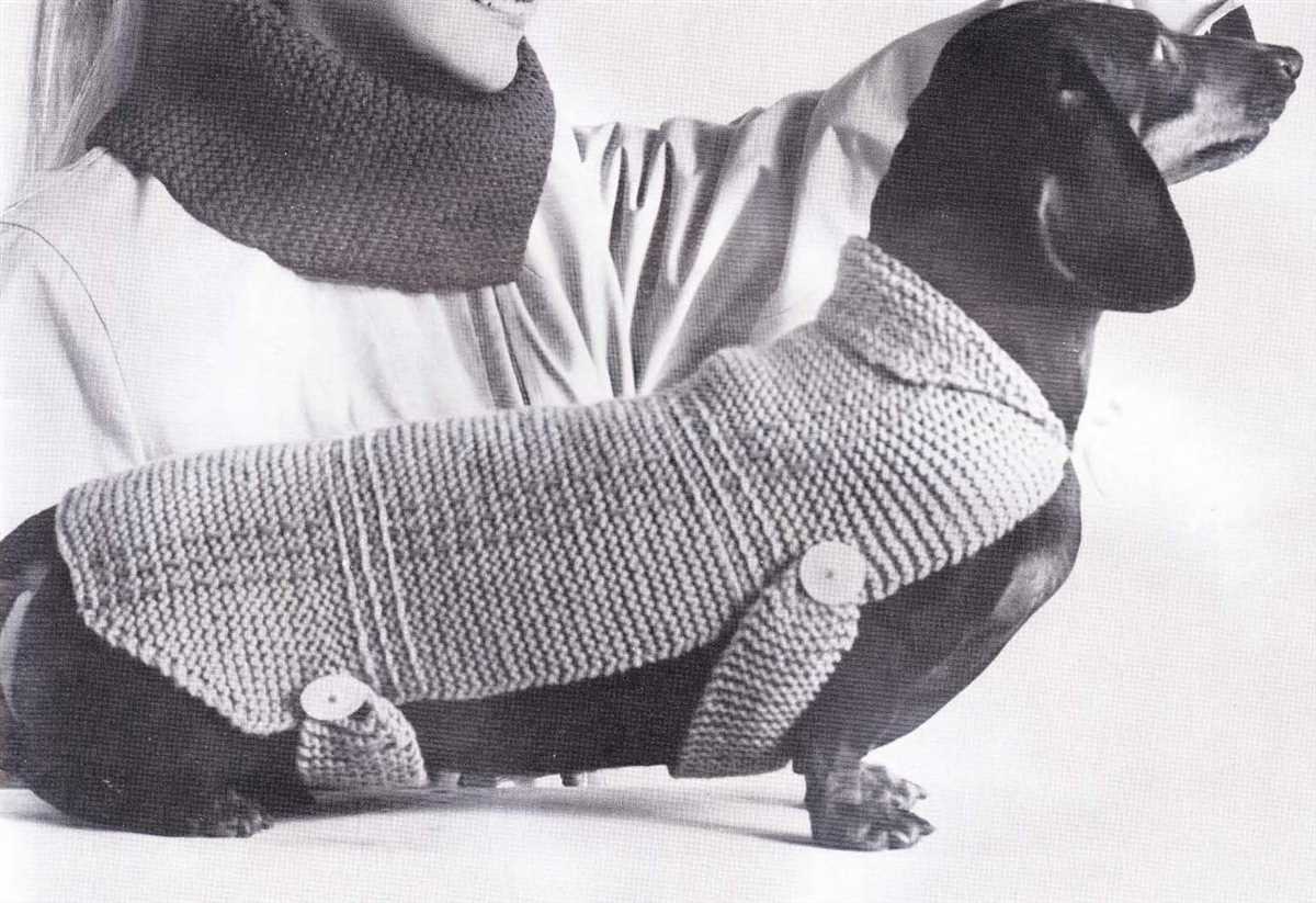 Dachshund jumper knitting pattern free
