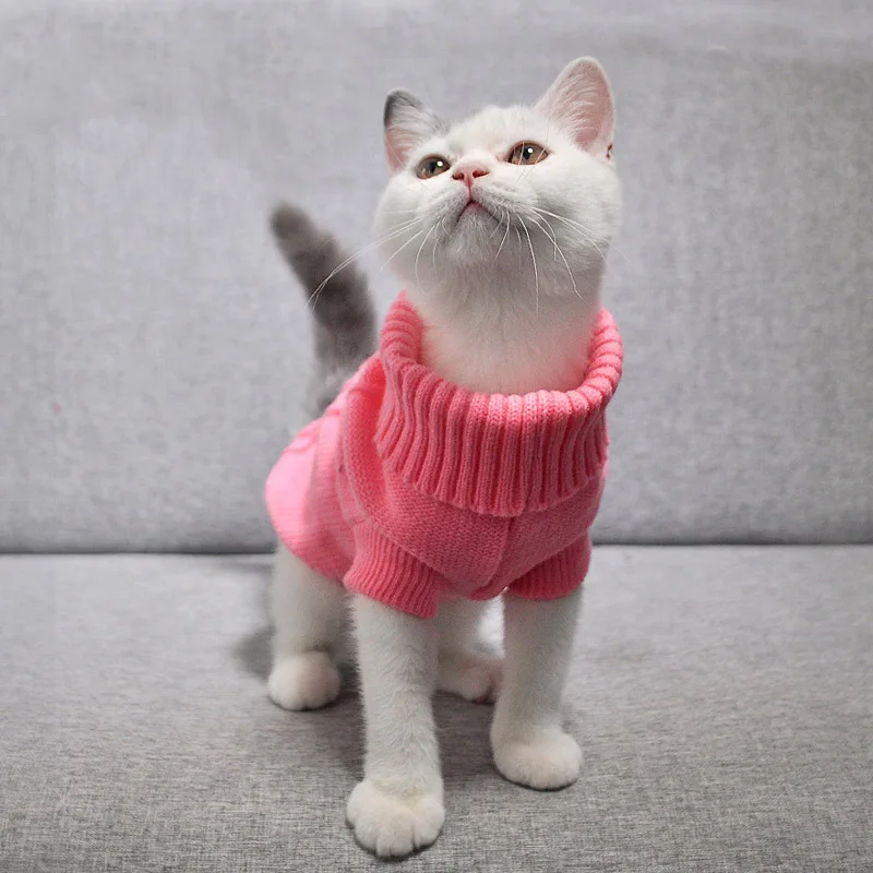 Free small cat knitting pattern