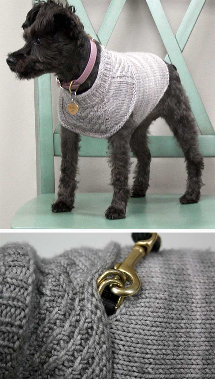 Knitting patterns for dog coats medium