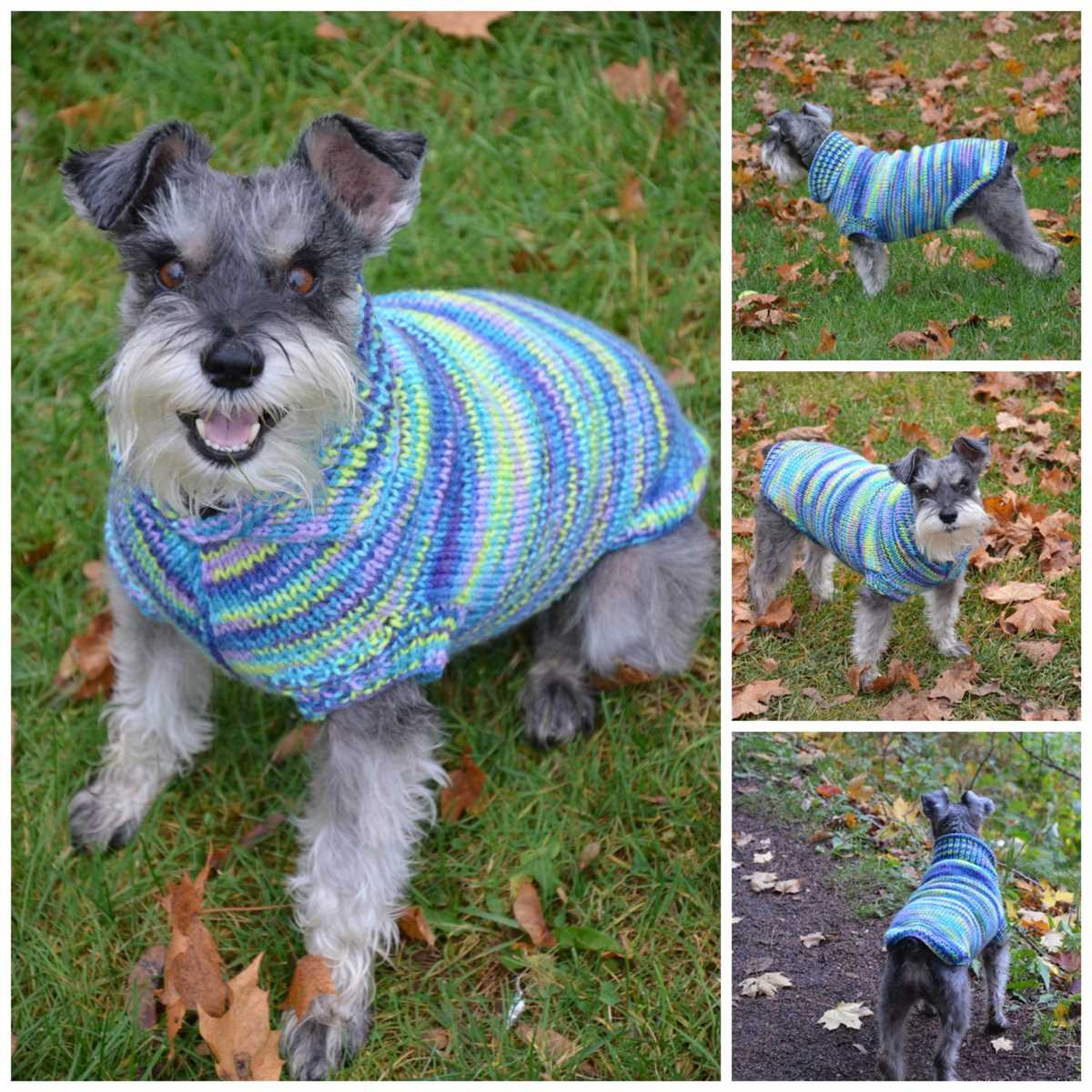 Easy knitting pattern for dog sweater beginner