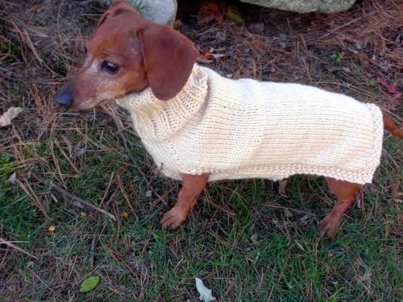 Miniature dachshund jumper knitting pattern free