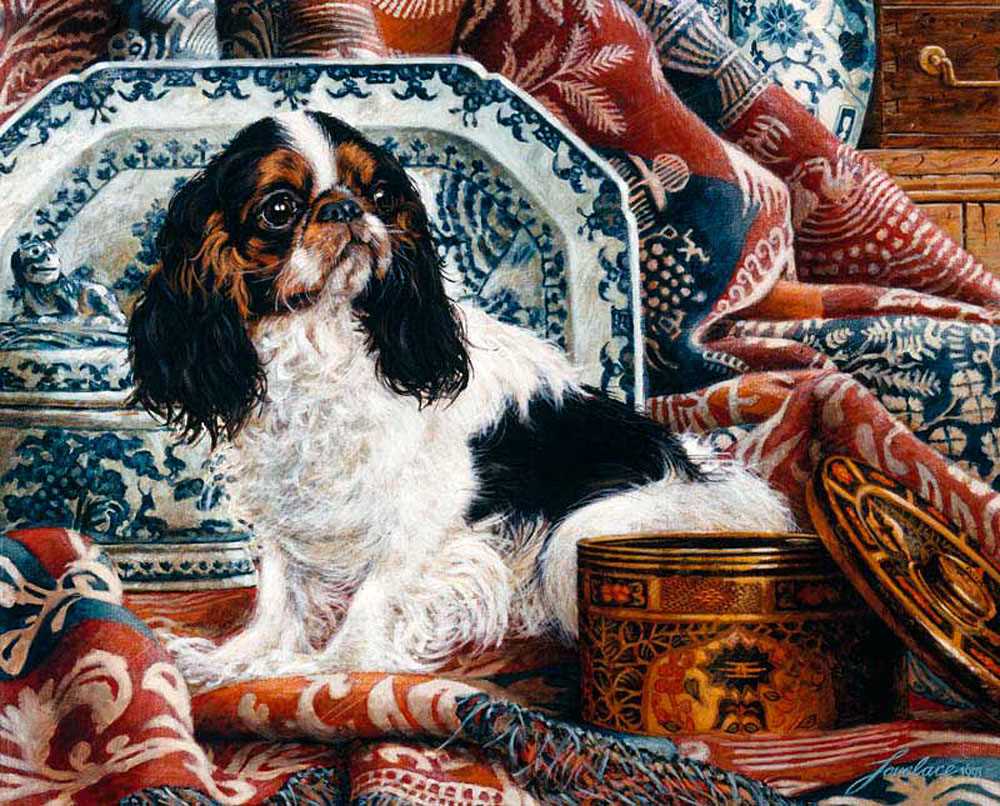 King charles knitting pattern free