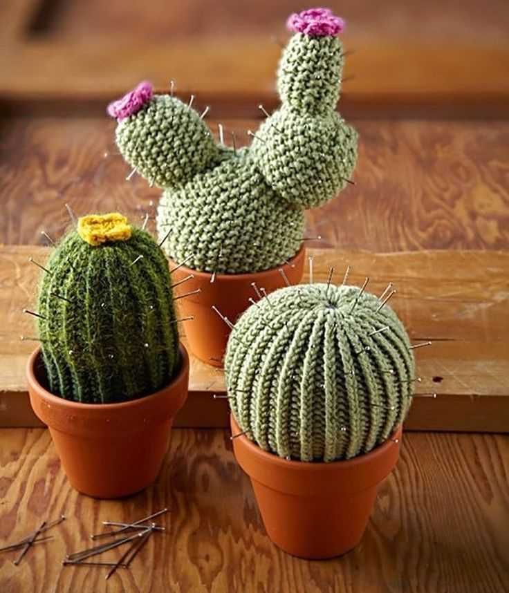 Knitted cactus plant pattern free