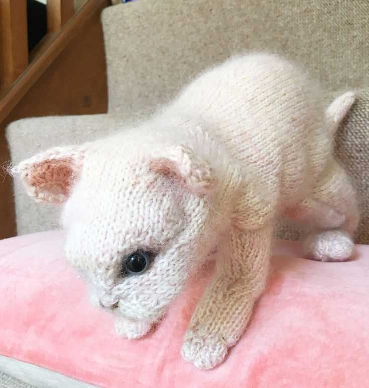 Free knitting patterns for kittens