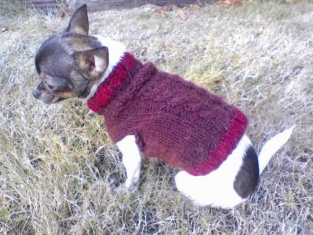Dog sweater knitting pattern chihuahua
